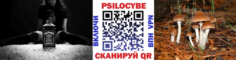 Галлюциногенные грибы GOLDEN TEACHER  Новохопёрск 